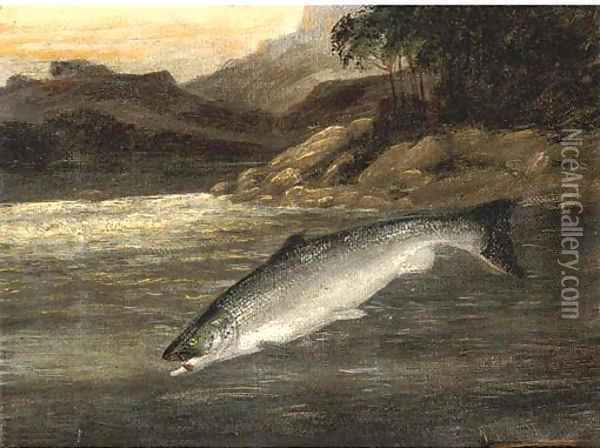 Salmon rising Oil Painting - A. Roland Knight
