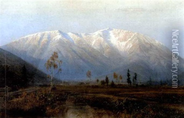 Landschaft Bei Puchberg Am Schneeberg Oil Painting - Otto Seraphim Peters
