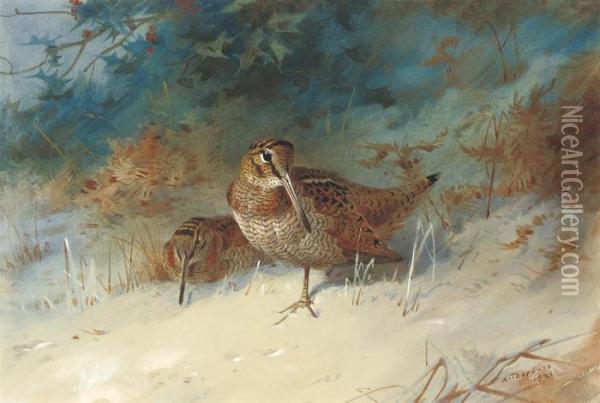 Woodcock In A Winter Landscape Oil Painting - Archibald Thorburn