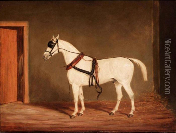 Horse On Harness Oil Painting - James Loder