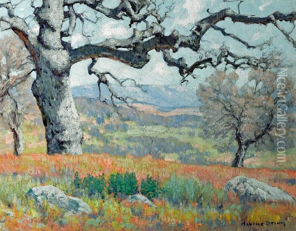The Oak Oil Painting - Maurice Braun