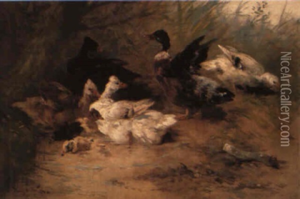 Ducks On A River Bank Oil Painting - Henry Schouten