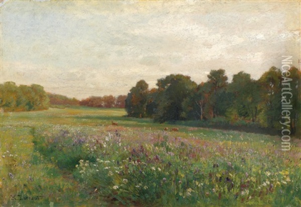 Blumenwiese Oil Painting - Hugo Darnaut