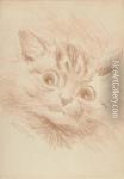 A Cautious Glance Oil Painting - Louis William Wain