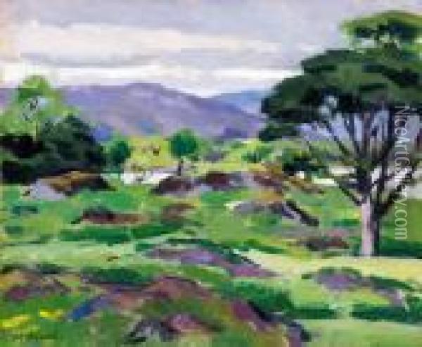 Loch Don Mull Oil Painting - Francis Campbell Boileau Cadell