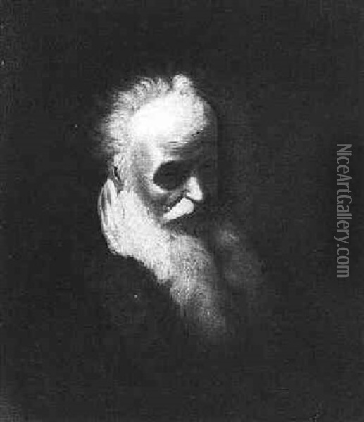 A Bearded Old Man Oil Painting - Christian Wilhelm Ernst Dietrich