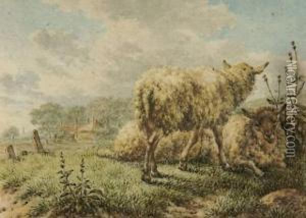 Schafe Auf Der Weide Oil Painting - Jacob Cats