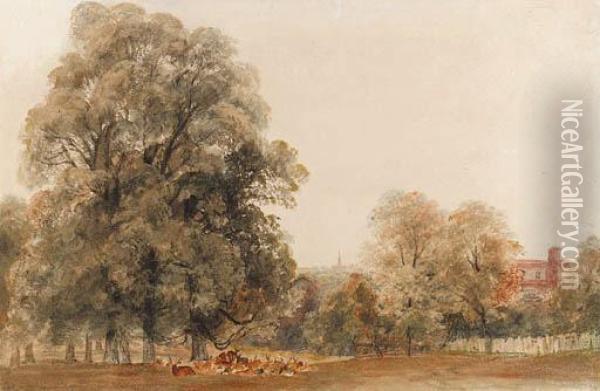 A Herd Of Deer Resting Beneath A Tree, Greenwich Park Oil Painting - Peter de Wint