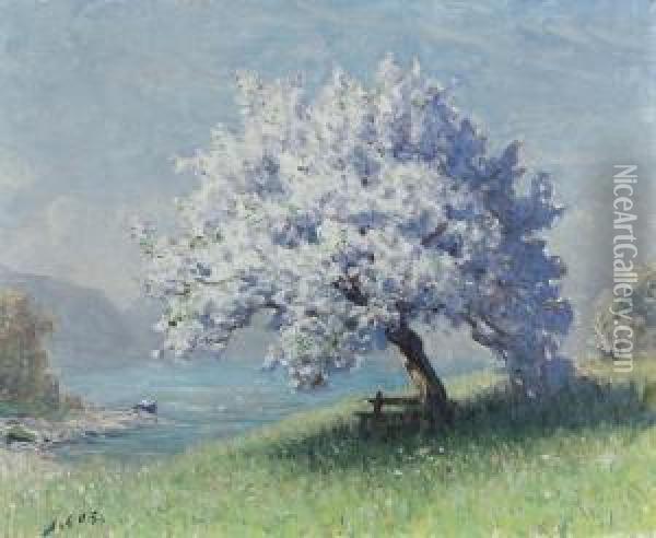 Seepartie Mit Bluhendem Obstbaum. Oil Painting - Albert H. Gos