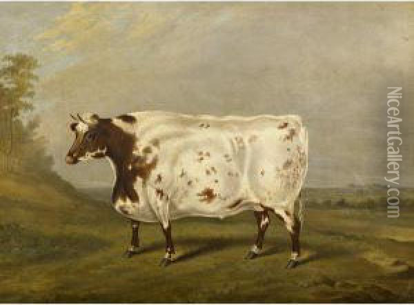 Durham Ox Oil Painting - James Scraggs
