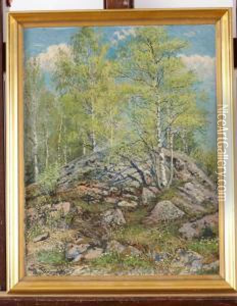 Varbjorkar Oil Painting - Hjalmar Trafvenfeldt