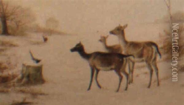 Deer In A Winter Landscape Oil Painting - Richard Ansdell