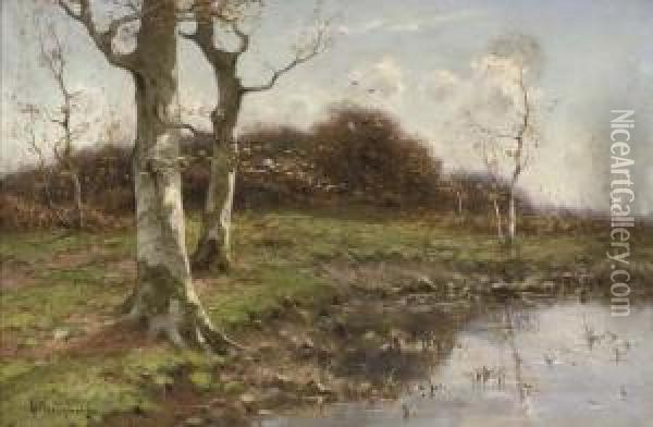 Trees On A Riverbank Oil Painting - Cornelis Ii Westerbeek