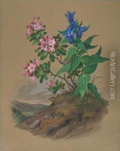 Bergblumen Mit Ansicht Des Klosters Tegernsee. Oil Painting - Franz Xaver Nachtmann