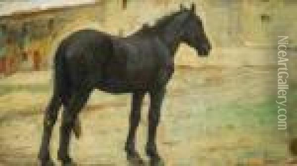 Cavallo Nero Oil Painting - Luigi Gioli