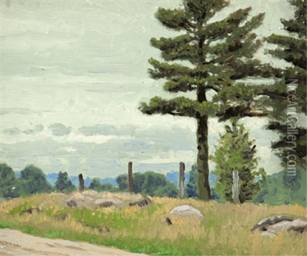 Road Near Midland, Ontario Oil Painting - Francis Hans Johnston
