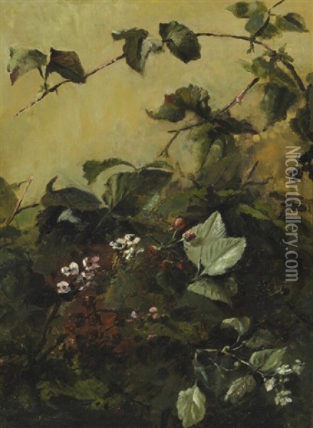 Blackberry Branches Oil Painting - Bertha Wegmann