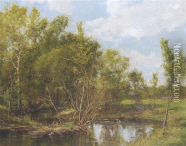 Reflections Of A Spring Day Oil Painting - Olive Parker Black