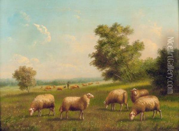 Moutons A La Prairie Oil Painting - Arthur De Waerhert