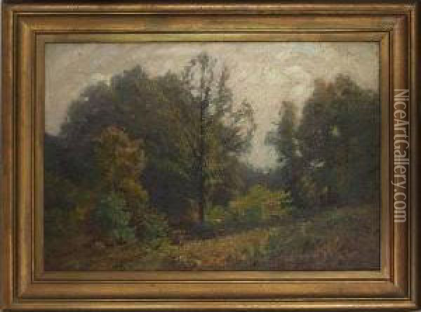 Landscape Oil Painting - Theodore Clement Steele