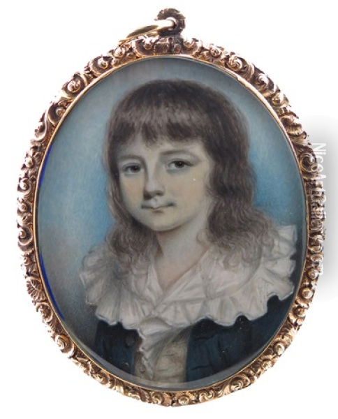 Portrait Miniature Of A Young Boy Oil Painting - Andrew Plimer