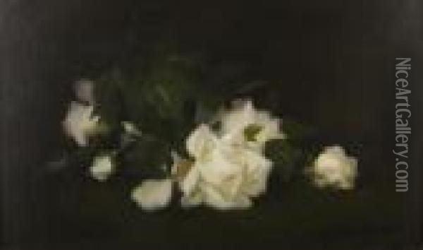 A Still Life Of White Roses Oil Painting - James Stuart Park