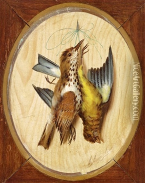 Zwei Stilleben Mit Singvogel Oil Painting - Michelangelo Meucci