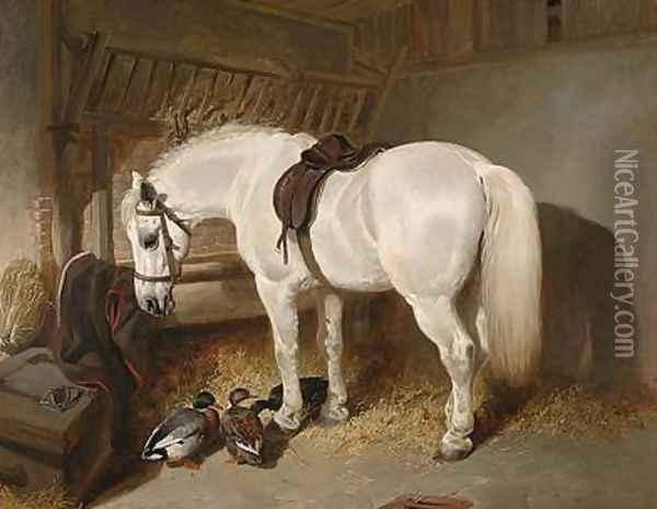 A grey pony in a stable with ducks Oil Painting - John Frederick Herring Snr