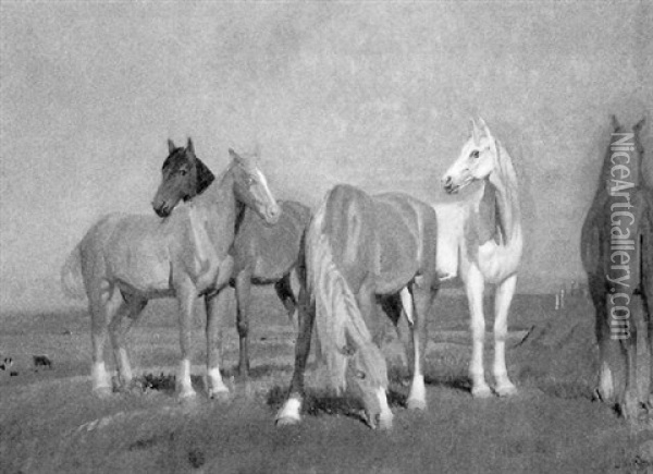 Pferde Am Feld Oil Painting - Knud Sinding