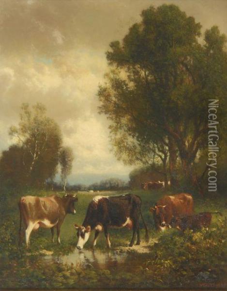 Cows By A Stream. Oil Painting - William M. Hart
