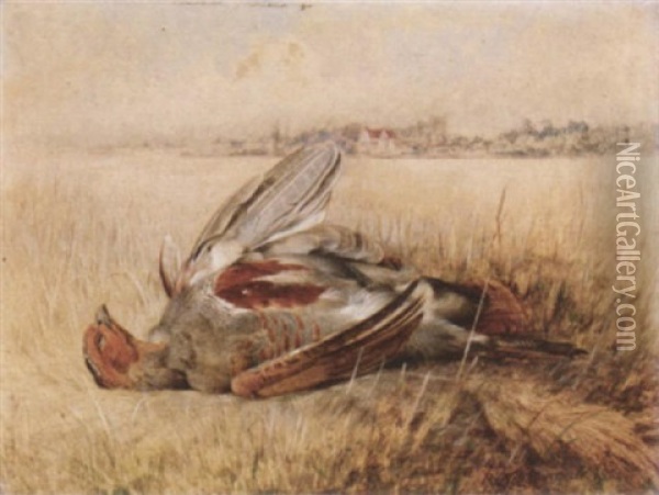 A Partridge In A Field Oil Painting - Robert Nightingale