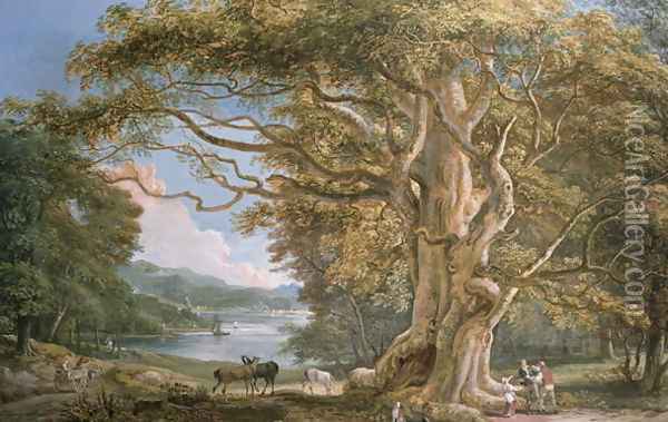 Ancient Beech Tree Oil Painting - Paul Sandby