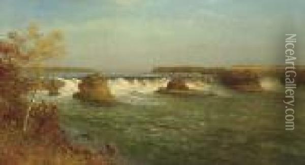 The Falls Of Saint Anthony Oil Painting - Albert Bierstadt