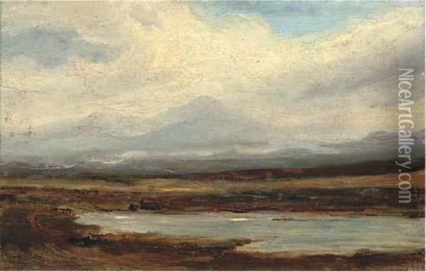 A View Across The Lowlands Oil Painting - Horatio McCulloch