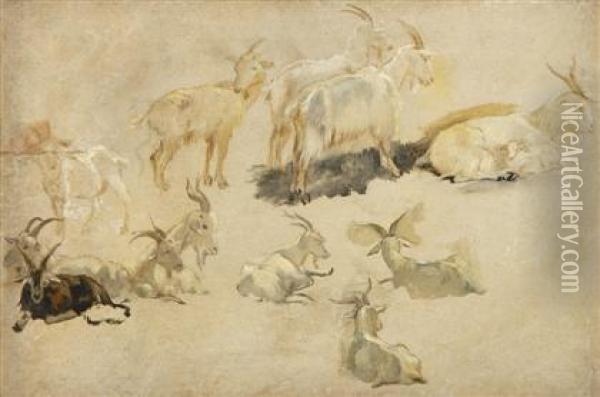 Studies Of Goats Oil Painting - George Hemming Mason