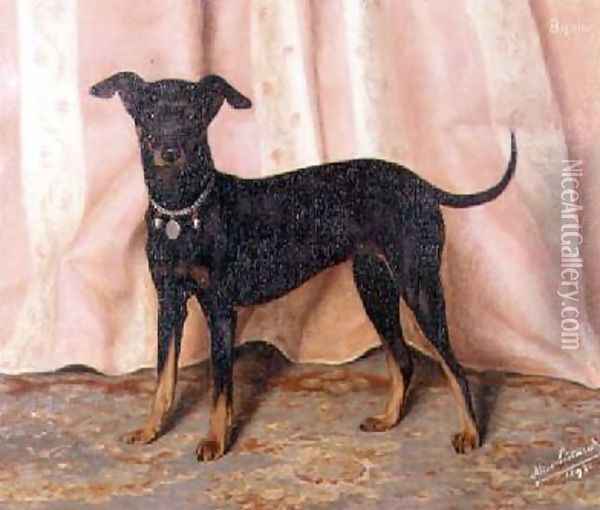 Study of Bijou, a Bichon Terrier Oil Painting - Alice Leotard