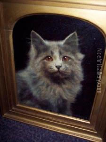 Portrait Of A Cat Oil Painting - Agnes Augusta Talboys