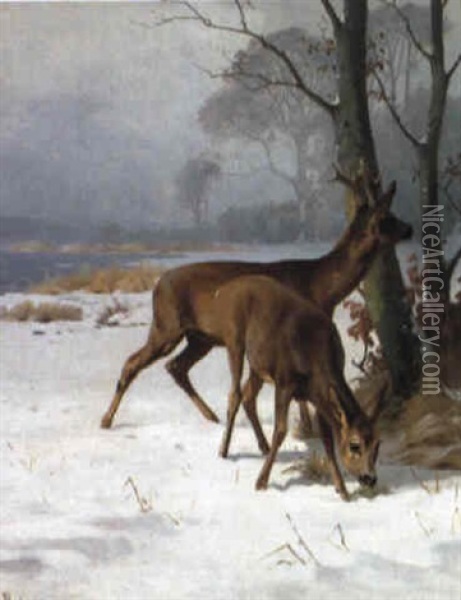 Sonnig Beleuchtete Winterlandschaft Oil Painting - Adolf Heinrich Mackeprang