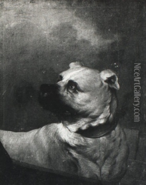 A Mastiff Oil Painting - Johann Melchior Roos