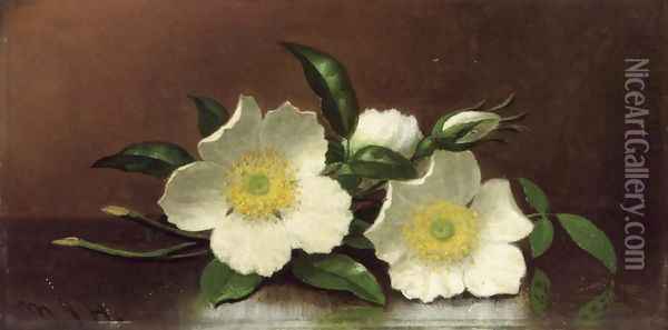 Two Cherokee Rose Blossoms On A Table Aka Cherokee Roses Oil Painting - Martin Johnson Heade