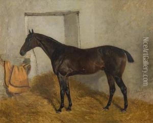 'casanet'; Study Of A Horse In A Stable Oil Painting - J. Duvall
