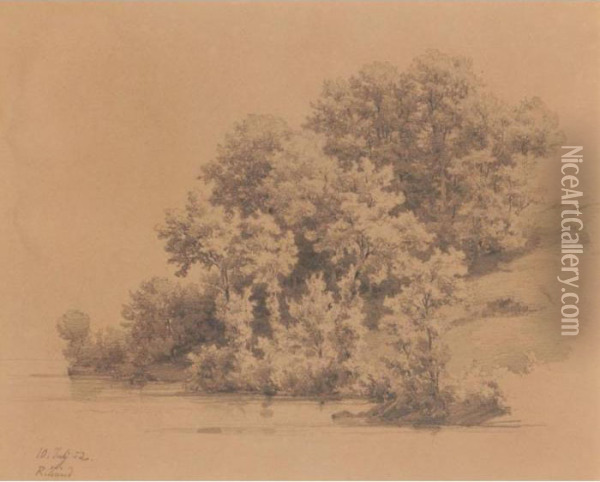 Baume Am Wasser, 1852 
Trees At The Shore, 1852 Oil Painting - Robert Zund