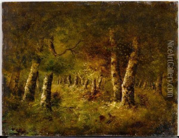 Study Of A Forest Oil Painting - Narcisse-Virgile D Az De La Pena