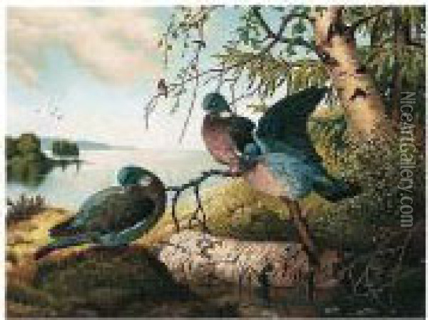 Kyyhkyset Jarven Rannalla (pigeons By A Lake) Oil Painting - Ferdinand Wilhelm Von Wright