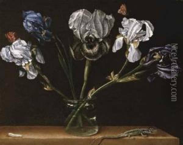 Irises In A Glass Jar, A Lizard And A Caterpillar On A Tabletop Oil Painting - Paolo Porpora