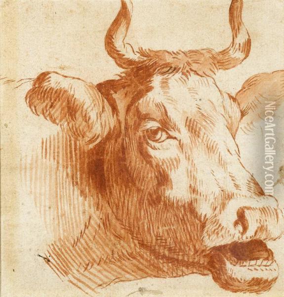 Head Of A Cow Oil Painting - Paulus Potter