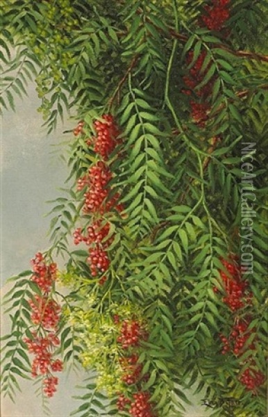 A Branch From A Pepper Tree Oil Painting - Ellen Francis Burpee Farr