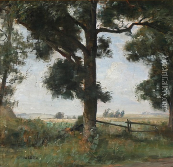 A View Of Cornfields Seen From The Edge Of The Woods Oil Painting - Carl Vilhelm Holsoe