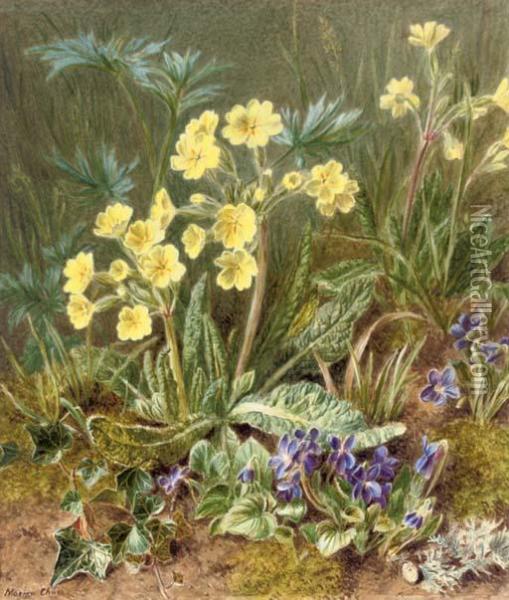 Where Oxlips And The Nodding Violet Grows Oil Painting - Marian Emma Chase
