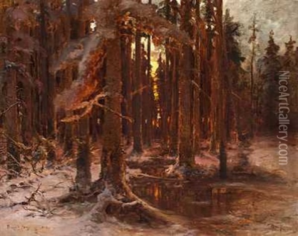 Evening In The Forest Oil Painting - Yuliy Yulevich (Julius) Klever